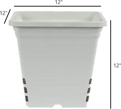 SUNPACK Square Tall Nursery Pot, White, 12" (Pack of 24) - Features Drainage Holes for Excess Water, Perfect for Greenhouse or Outdoor Growing - Durable, UV Resistant Plastic