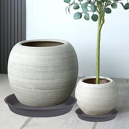 6 Pack of 7 8 inch Plant Saucer, Heavy Duty Plastic Plant Water Tray 8 inch Round, Flower Plant Saucers for Indoors No Holes, Plant Dishes Saucer for Planter 7"/8" (8", Cement Gray)