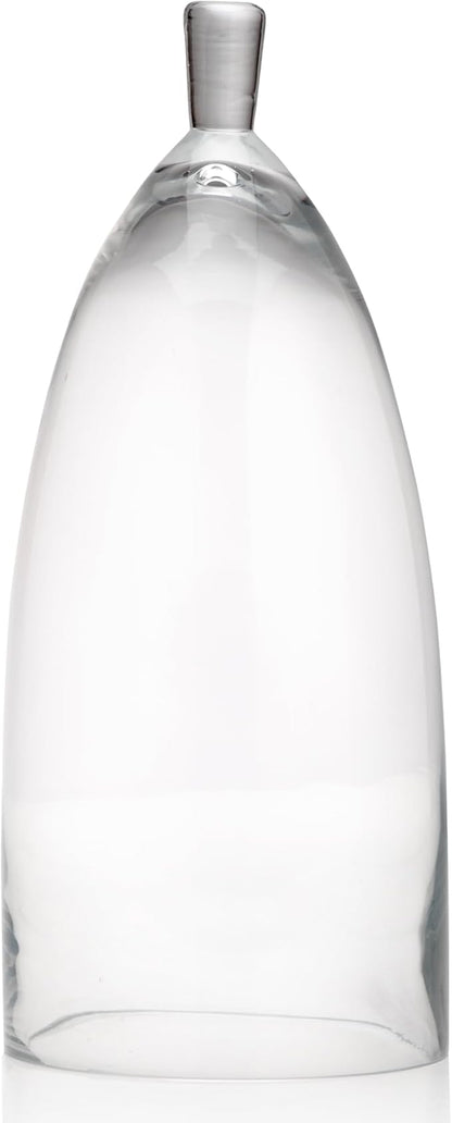 Z Gallerie Jules Cloche Hand-Blown Glass Display Dome, Elegant Terrarium for Curated Decor, Artistic Showcase for Sentimental Objects, Clear