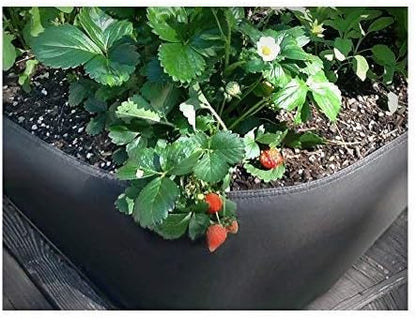 3 ft X 6 ft Victory 8 EZ-GRO Med Rectangle Raised Garden Bed Just Right Size AeroFlow Proprietary Fabric Grow Your OWN