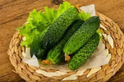 Seeds Self-Pollinated Cucumber Market/Indoor / 38 Days/Non GMO/Hybrid