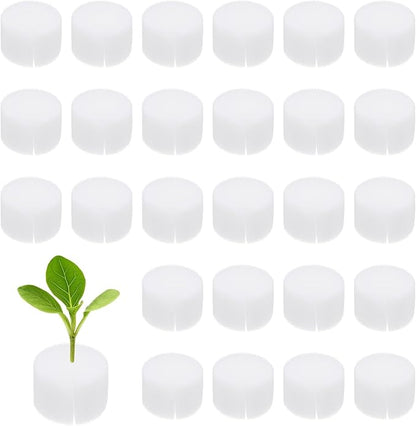 30-Pack Hydroponics Sponges, 1.57 Inch Growing Media Cylindrical Sponges for Planting Gardening Tool/Grow Seedlings/Home Vegetable Flower, Soilless Cultivation Seedling [White]
