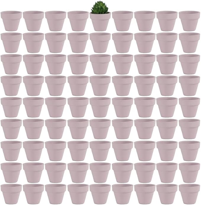 Yishang 1.9 Inch Tiny Pink Terracotta Pots Pack of 72-Small Mini White Clay Pots with Drainage Holes Flower Nursery Terra Cotta Planter for Tiny Cactus,Herb,Succulent Plants,Crafts