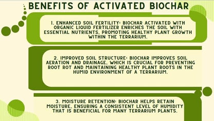 Generic Horlticural Activated Charcoal for Plants, 4 Quarts, Indoor and Outdoor, Charcoal for Terrariums, Conditioning for Bonsai Soil and Catus Soil, Black, NWS-4q-ABC