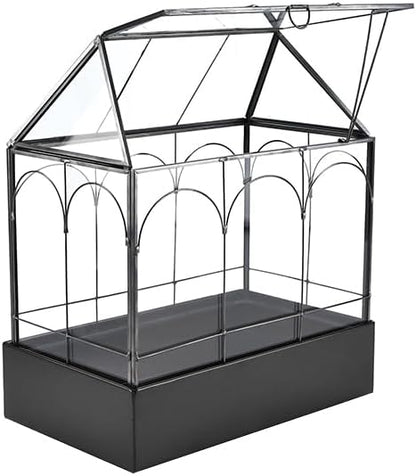 HighFree Large Glass Terrarium with Metal Tray, Glass Greenhouse Terrarium, Succulent Terrarium Kit for Succulents, Cacti, Snails, Spiders, and Miniature Reptiles, Black (Velvet Bottom)