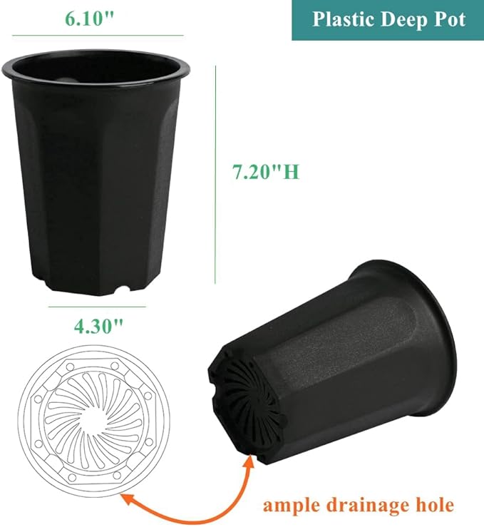 BangQiao 8 Pack 6.10 Inch Black Plastic Deep Nursery and Seedling Pots, Round Planter Container for Transplanting, Cutting, Succulent
