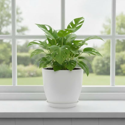 Plant Pots 8 Inch Set of 6, Flower Pots with Drainage Holes and Saucer, Plastic Garden Planters for Indoor & Outdoor Plants (White)