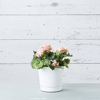 Novelty Majestic Full Depth Round Cylinder Pot, Glossy White, 8-Inch (10082)