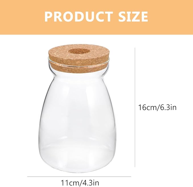 Large Glass Terrarium Jar for Hydroponic Plants - Indoor Miniature Garden Container with Open Hole Lid for Succulents and Decorative Ornaments