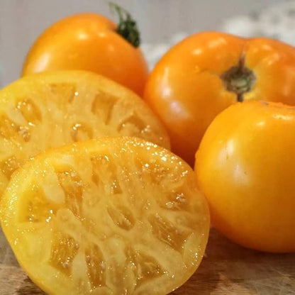 Park Seed Variety of Tomato Seeds, Planting Vegetables, Easy to Grow, Non-GMO, Perfect for Harvesting, Lemon Boy Plus, Pack of 30