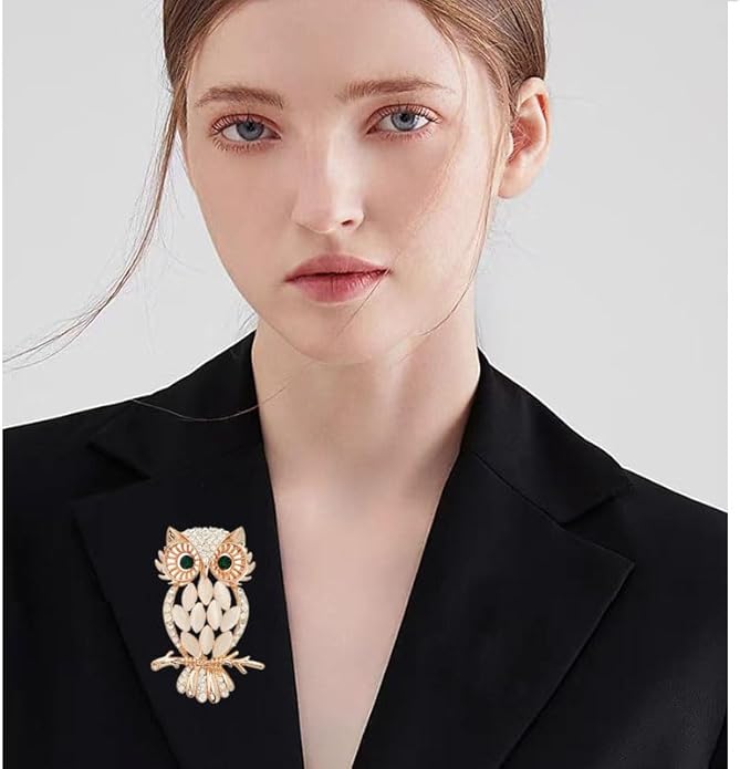 Rhinestone Owl Brooch Pin for Women Cute Big Cartoon Cat Eye Stone Owl Bird Brooch Unique Double Owl Brooch Pin Clothes Bag Hat Dress Jewelry