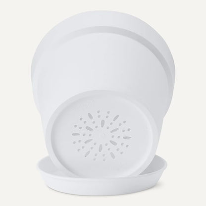 Amazon Basics Plant Pot with Saucer, 8 inch, White, 1-Pack