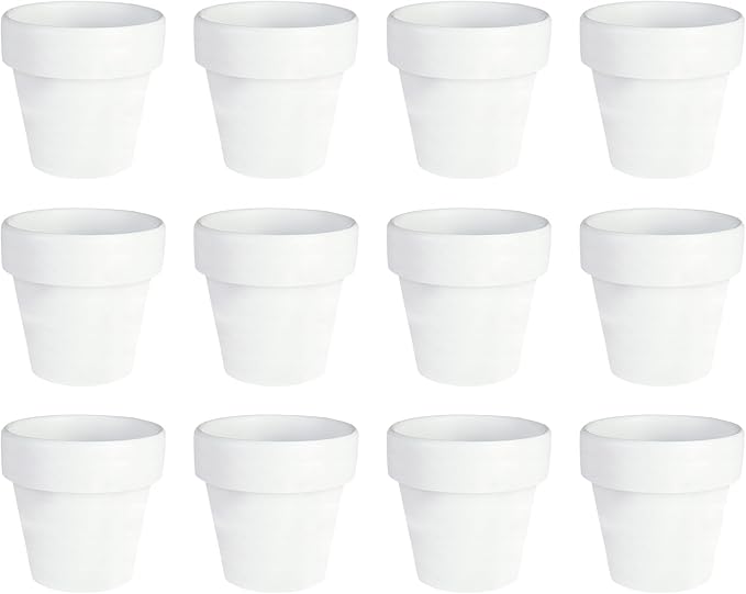 12pcs Mini White Pots – Small White Pots for Indoor or Outdoor Plants, Mini Planters for Flowers and Greenery, for Plant Lovers