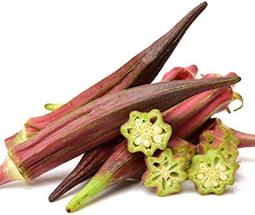 Seeds Alabama Red Okra (Bamia, Lady Finger) Heirloom Vegetable Non GMO