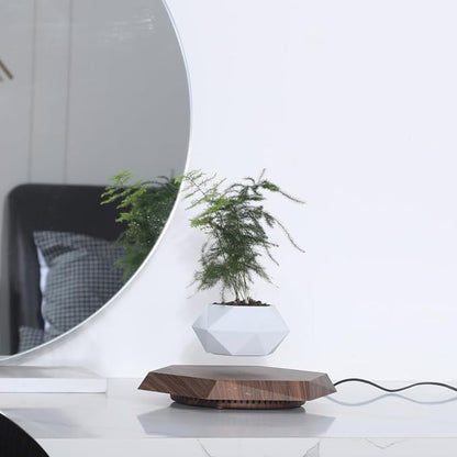 MOOCCI Floating Plant Pot Magnetic Levitating Plant Pot for Succulents, Air Bonsai and Fake Flowers and Plants, Unique Decor for Home, Office and Desk, Father's Day (Brown)