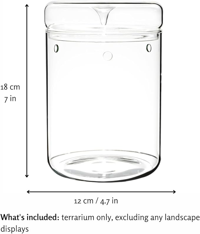 Small Glass Terrarium Jar with Lid – 4.7 x 7 Inch Closed Plant Terrarium for Succulents, Moss, Venus Fly Trap & Self-Sustaining Ecosystems – Ideal Indoor Decor for Home & Tabletop