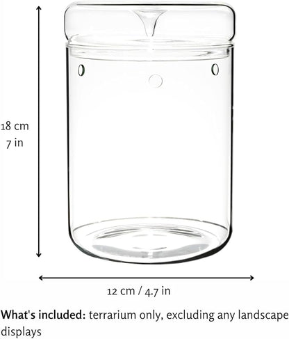 Small Glass Terrarium Jar with Lid – 4.7 x 7 Inch Closed Plant Terrarium for Succulents, Moss, Venus Fly Trap & Self-Sustaining Ecosystems – Ideal Indoor Decor for Home & Tabletop