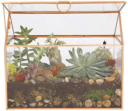D'Eco Glass House Centerpiece (10x6x8)- Tabletop Planter Terrarium - Valentine's Day Home Decor & Wedding Letterbox - Fill with Succulents, Moss, Roses & Chocolates - Valentines Gift for Plant Lovers