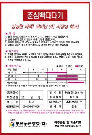 Cucumber Seed Korean 2pack