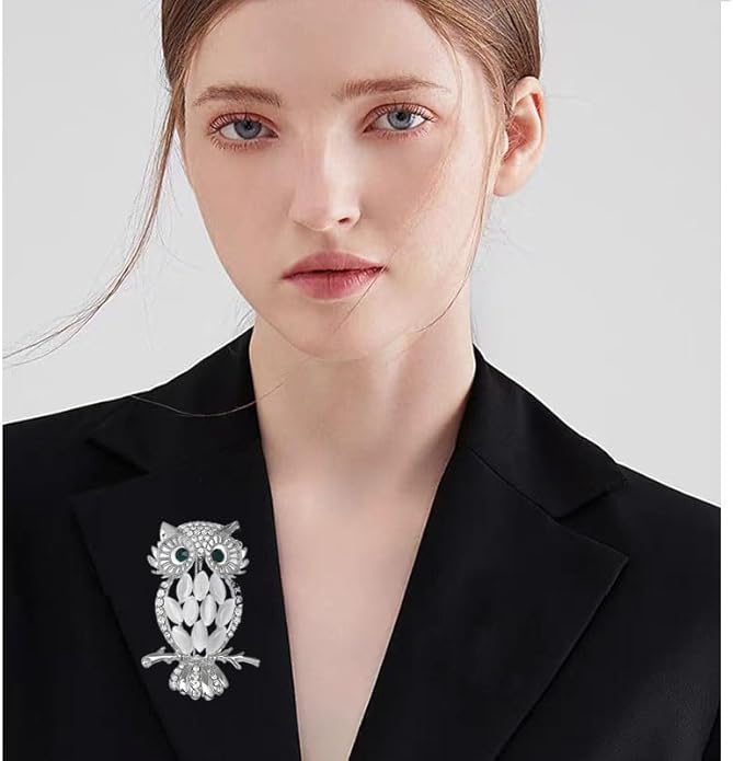 Rhinestone Owl Brooch Pin for Women Cute Big Cartoon Cat Eye Stone Owl Bird Brooch Unique Double Owl Brooch Pin Clothes Bag Hat Dress Jewelry