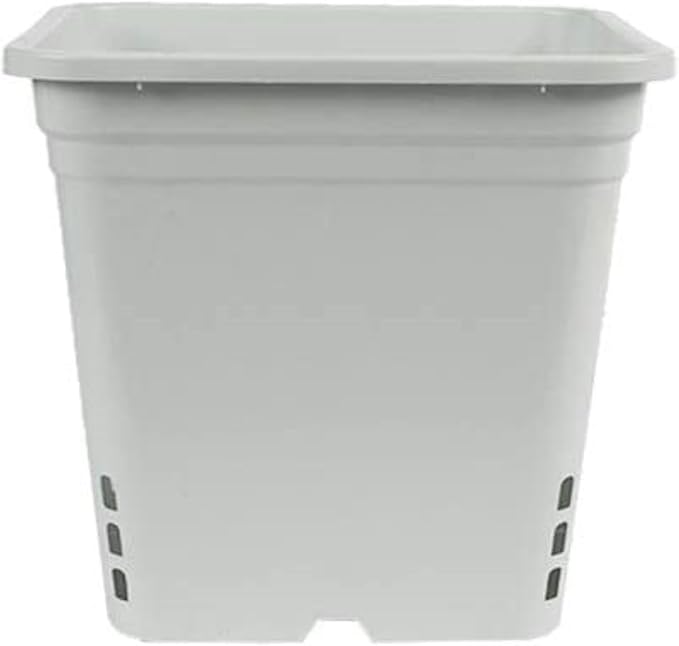 SUNPACK Square Tall Nursery Pot, White, 12" (Pack of 24) - Features Drainage Holes for Excess Water, Perfect for Greenhouse or Outdoor Growing - Durable, UV Resistant Plastic