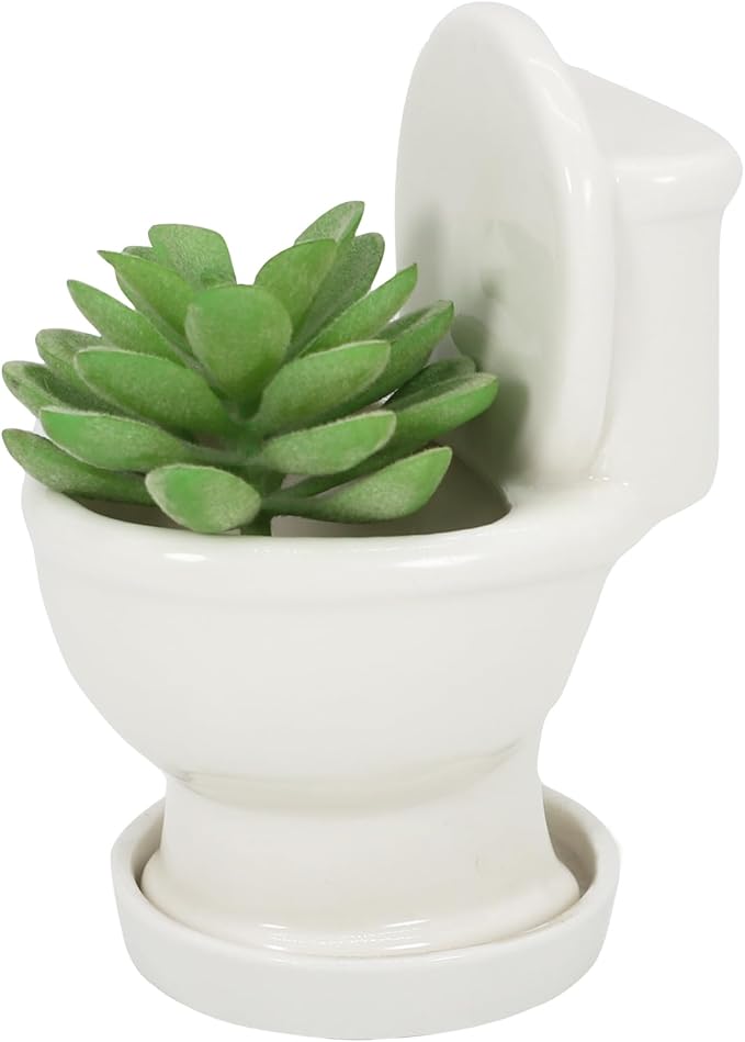 Cute Toilet Bowl Succulent Planter Pot with Drainage Tray, White Ceramic Cactus Flower Container, Small Funny Indoor Air Plants Holder