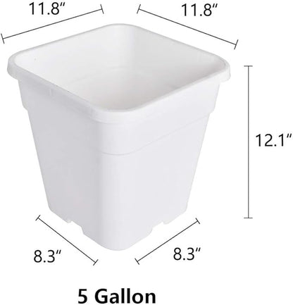 Plant Nursery Pot 10-Pack 5 Gallon Square Plastic Garden Planter Pots Flower Seedling Injection Molded Container Seed Starting Pot for Indoor Outdoor Plants Seedlings Flowers Vegetables White