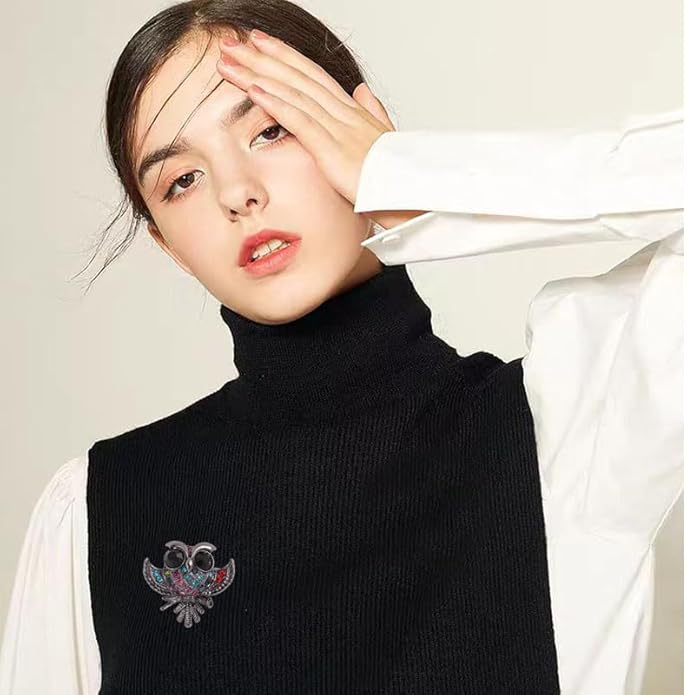 Rhinestone Owl Brooch Pin for Women Cute Big Cartoon Cat Eye Stone Owl Bird Brooch Unique Double Owl Brooch Pin Clothes Bag Hat Dress Jewelry