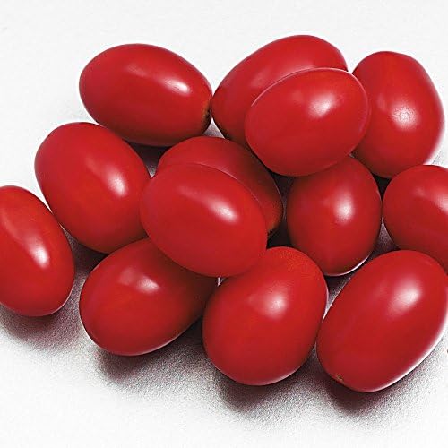 Park Seed Cherry Tomato Seeds, Planting Vegetables, Easy to Grow, Non-GMO, Variety of Colors and Sizes, Spring Garden, Sweet Hearts Hybrid, Pack of 10