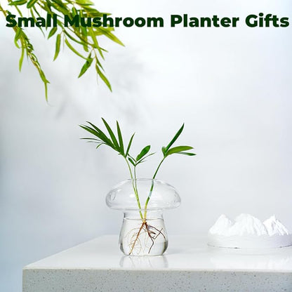 Wall Hanging Mushroom Vase, Small Plant Propagation Stations Cute Mushroom Glass Planter Terrarium Indoor Hydroponic Flower Holder for Elegant Home Decor Gifts, Clear, 1 PC