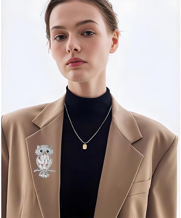 Rhinestone Owl Brooch Pin for Women Cute Big Cartoon Cat Eye Stone Owl Bird Brooch Unique Double Owl Brooch Pin Clothes Bag Hat Dress Jewelry