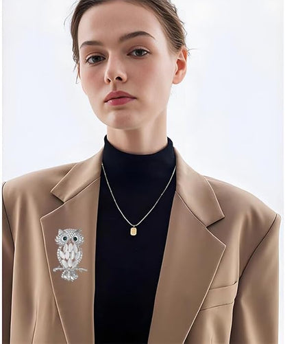 Rhinestone Owl Brooch Pin for Women Cute Big Cartoon Cat Eye Stone Owl Bird Brooch Unique Double Owl Brooch Pin Clothes Bag Hat Dress Jewelry
