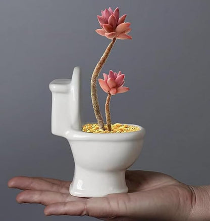 Ceramic Succulent Plant Pot Cactus Plant Pot Flower Pot Container Planter with Drainage Hole Home Office Desk Garden Gift Idea Animal Shaped Flower Pot Cute Vase Pot (Closestool)