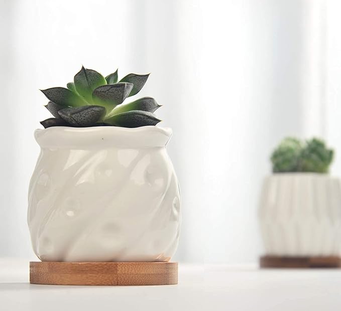 B SEPOR Set of 6 White Simple Porcelain Planters for Small Plant Pots Baby Succulent Cactus with Drainage and Saucer for Home Office Decoration Gift(White Stripes)