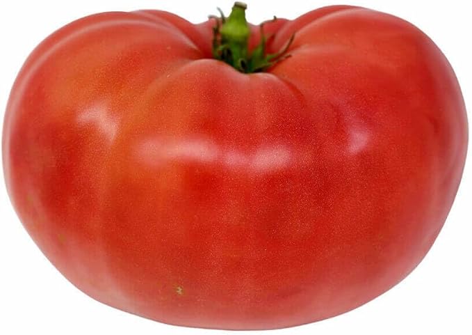 Watermelon Beefsteak Tomato Seeds - Large Tomatos - Delicious Tomatos for Home Growing