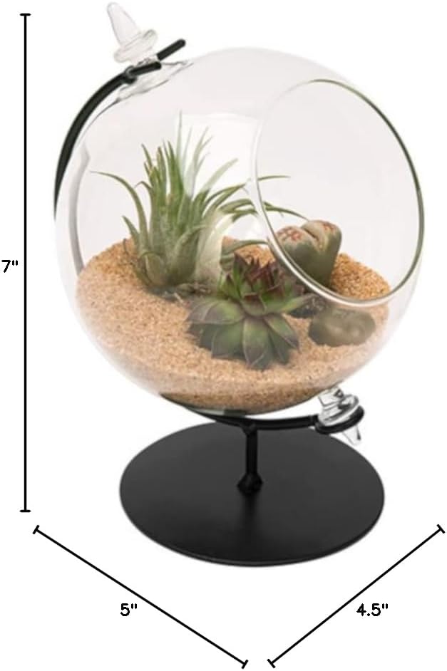 Panacea 82149 Desktop Glass Terrarium with Metal Stand, 4.5" Dia.
