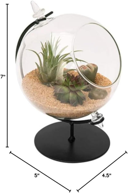 Panacea 82149 Desktop Glass Terrarium with Metal Stand, 4.5" Dia.