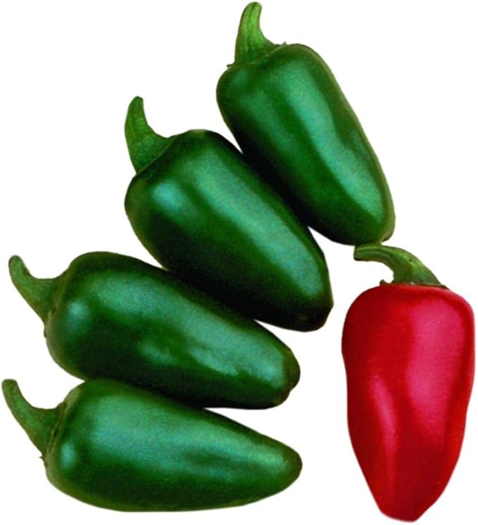 Park Seed Variety of Hot Chili Pepper Plant Seeds, Easy to Grow, Perfect for Spring Garden, Fresh Jalapeno M Hot, Pack of 25