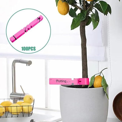 200Pcs Pink Plant Labels Plant Tags Wrap Around Hanging Tags Adjustable Outdoor Nursery Garden Labels Sun-Proof Reusable Tree Markers with 2pcs Waterproof Permanent Marker Pen (200Pcs Pink)