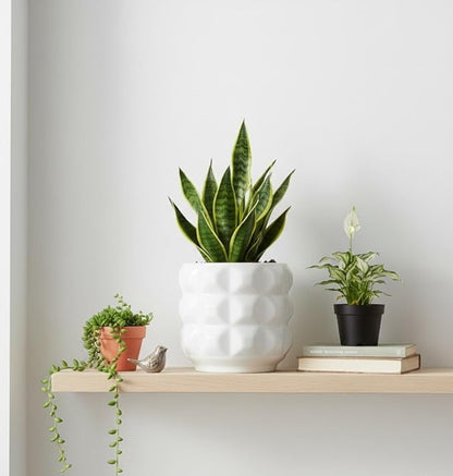 Arktiva Ceramic Planter Pot with Drainage Hole, 4.5 Inch Dia, Indoor and Outdoor, Home Patio Garden, Plants Flower Succulent, 3D Patterned Round (White)