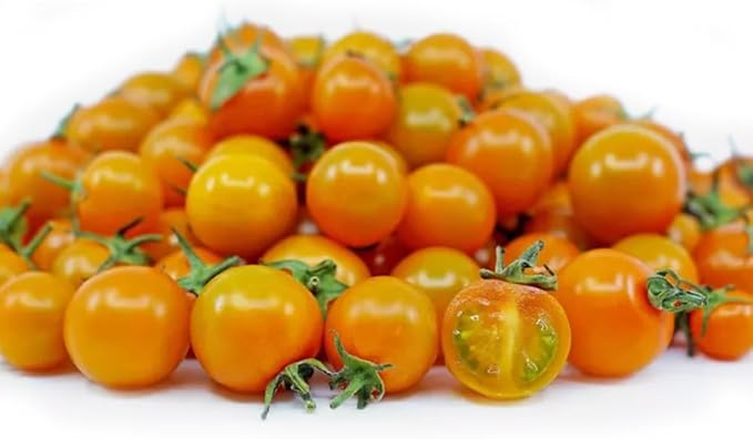100PCS Orange Hat Micro Dwarf Tomato Seeds Non-GMO Heirloom Seeds