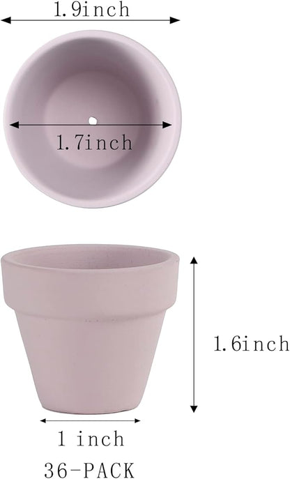 36 Pieces of Small Mini Pink Flower pots 2 inch Clay Flower pots,Cactus Flower pots,Succulent Nursery pots with Drainage Holes,Suitable for Indoor/Outdoor Succulent Plants,Crafts,Wedding Favor