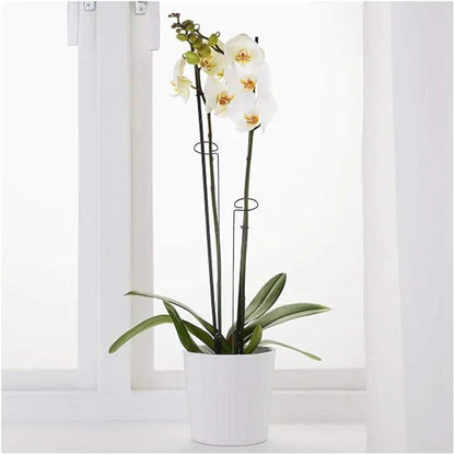 Green 24 inch Single Stem Plant Stakes Flower Support Rings, Pack of 20,Gardening Planter Cages for Single Stem Flowers, Amaryllis, Peony, Lily,Narcissus