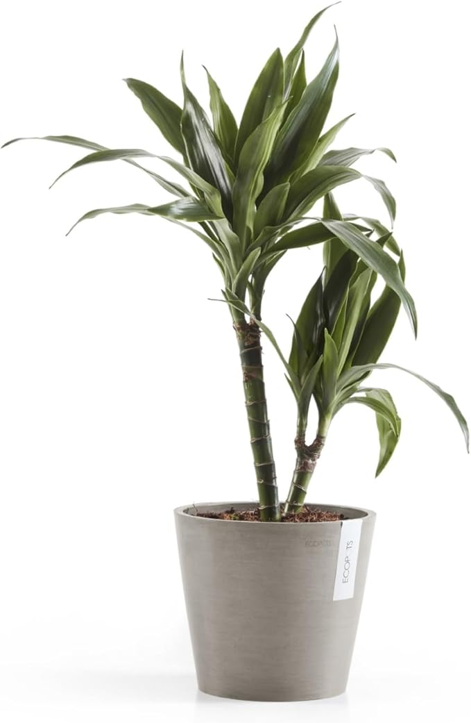 Ecopots Amsterdam Durable Modern Round Indoor/Outdoor Recycled-Based Composite Flower Pot Planter, Taupe, 8"