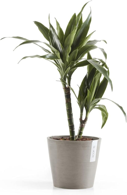 Ecopots Amsterdam Durable Modern Round Indoor/Outdoor Recycled-Based Composite Flower Pot Planter, Taupe, 8"