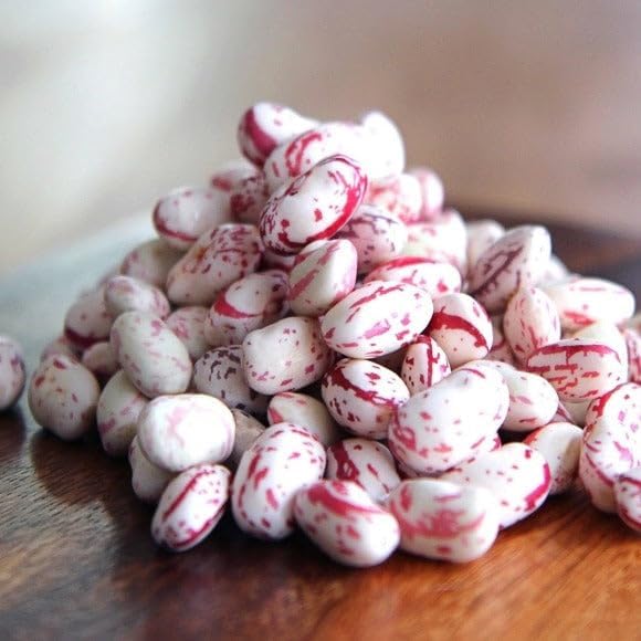 TomorrowSeeds - Pink Cranberry Bean (Taylor) Seeds - 60+ Count - for 2026 Planting Heirloom Italian Borlotti French Pinto Broad Beans Taylor Horticultural Speckled Bays Vegetable Grow Your Own Home