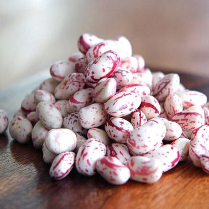 TomorrowSeeds - Pink Cranberry Bean (Taylor) Seeds - 60+ Count - for 2026 Planting Heirloom Italian Borlotti French Pinto Broad Beans Taylor Horticultural Speckled Bays Vegetable Grow Your Own Home