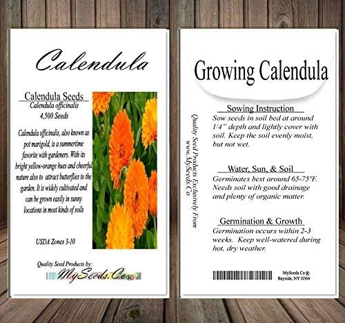 Big Pack - Calendula Flower Seeds (4,500 Seeds) - Calendula officinalis Pacific Beauty Mix - Edible Flower Seeds (Big Pack - Calendula Mix)