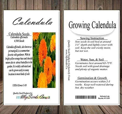 Big Pack - Calendula Flower Seeds (4,500 Seeds) - Calendula officinalis Pacific Beauty Mix - Edible Flower Seeds (Big Pack - Calendula Mix)