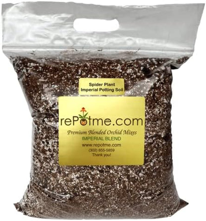Spider Plant Imperial Houseplant Potting Soil Mix by rePotme - Junior Bag (4 Quarts)